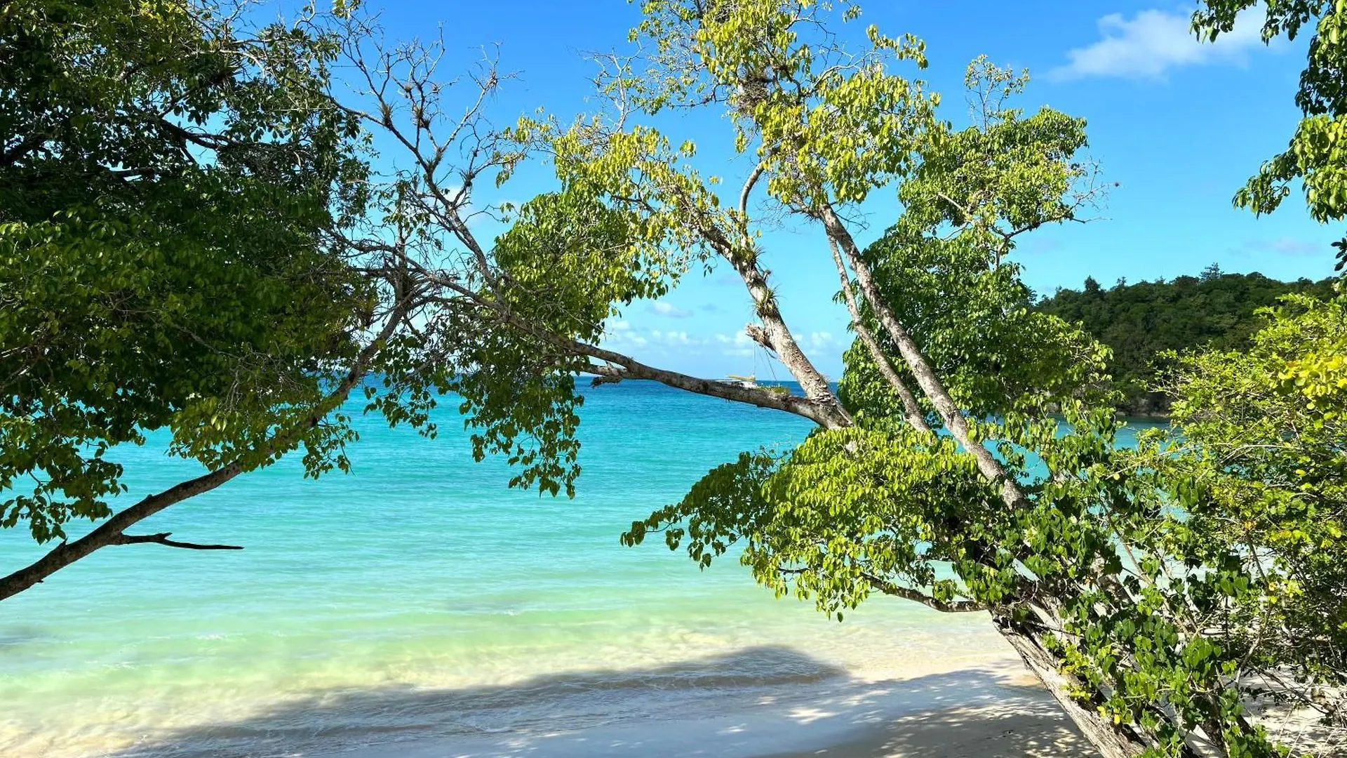 La Saranah Beach Resort - Blue Dream, Piscine Grand-Bourg  Apartment Grand-Bourg (Marie Galante)